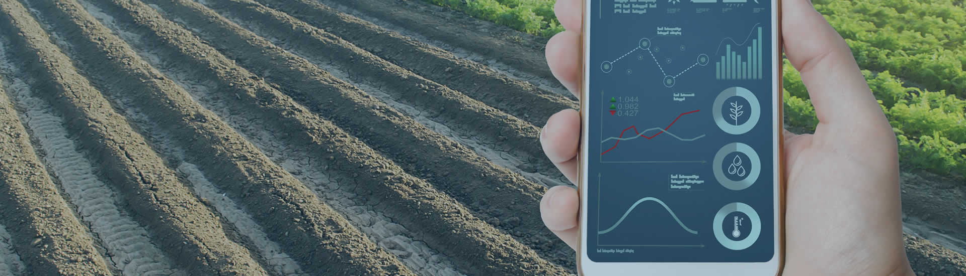 Iot And Iiot Cerexio