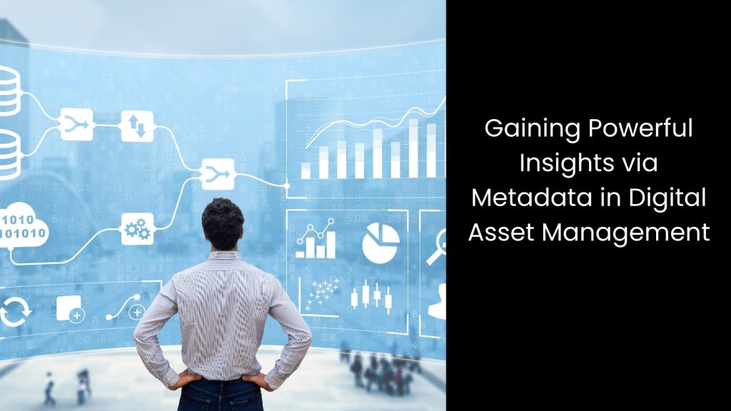 Why is Metadata Important in Digital Asset Management?