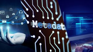 Why is Metadata Important in Digital Asset Management?