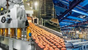 production-line-efficiency-improvement-2025-cerexio-singapore